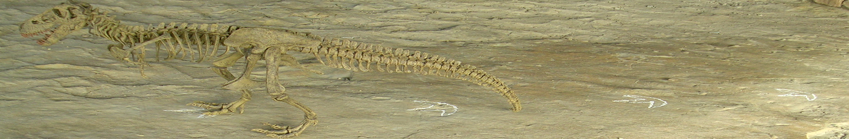 Patrimonio Paleontológico