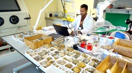 Laboratorio preparación paleontológica