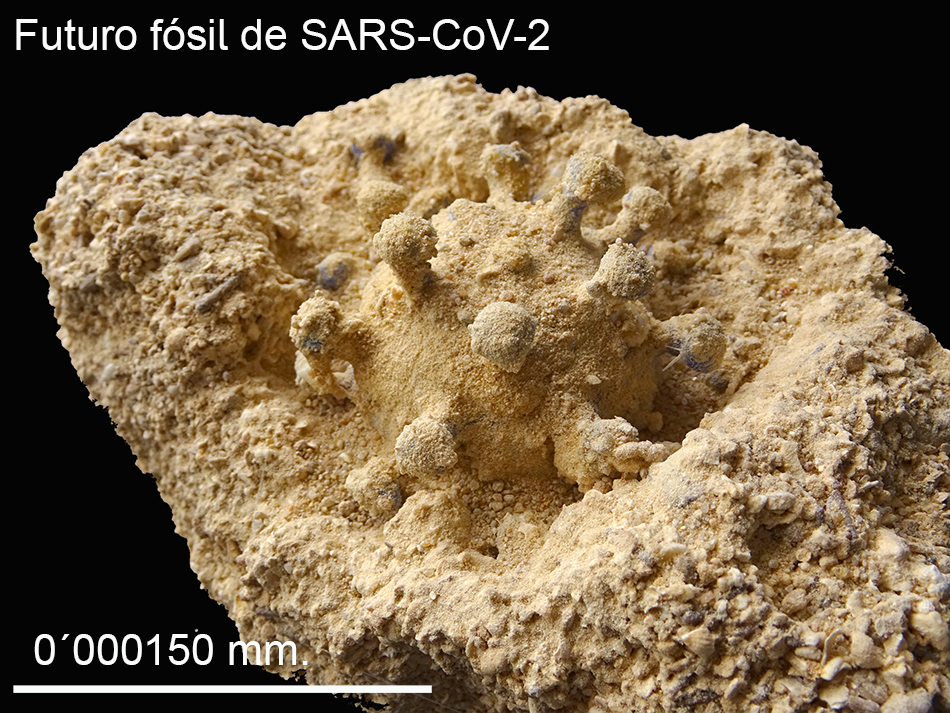 Recreación figurada del coronavirus Covid19 fosilizado. El virus aparece conservado en arena e incluido en una matriz también arenosa.